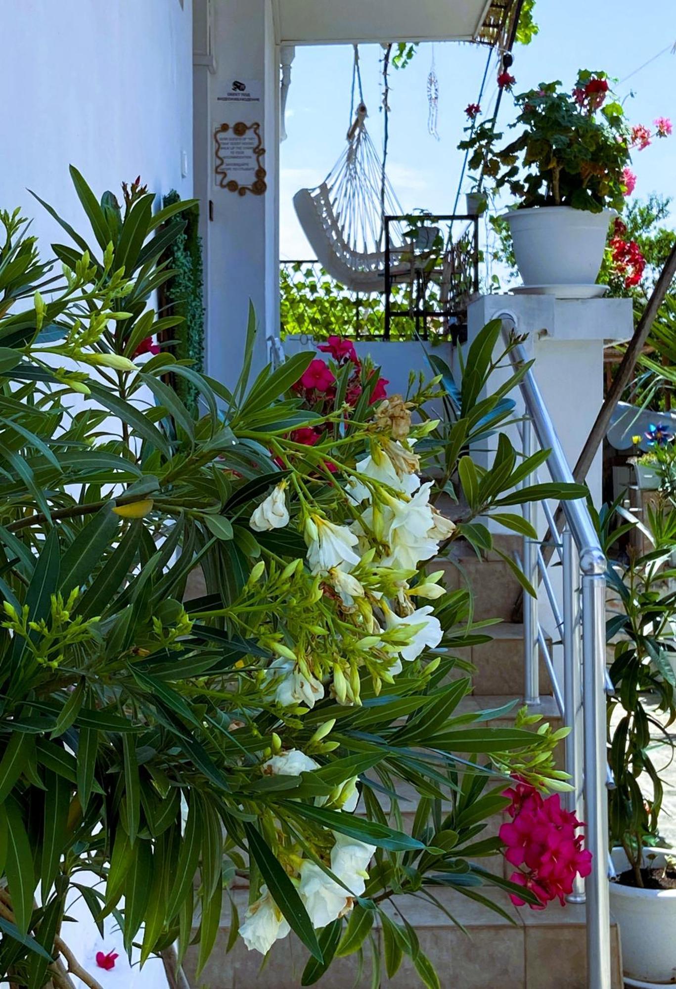 Guest House Hei Taka Sozopol Buitenkant foto